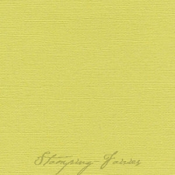 Bazzill Leinenstruktur CS "Lizard"